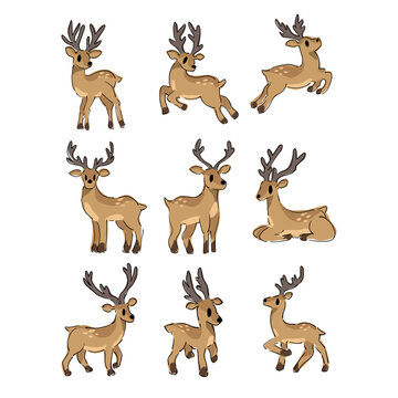 set of deer cartoon vector
