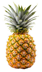 pineapple isolated on a transparent background