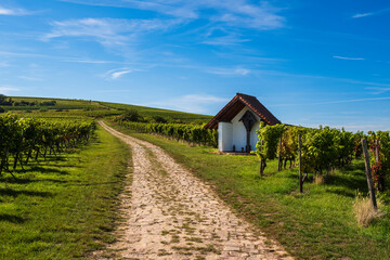 Fototapeta na wymiar Covered cross in the vineyards at Laurenziberg/Germany on a sunny autumn day