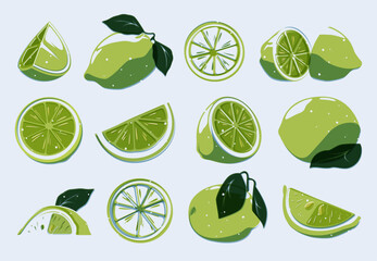Sliced lime set. Cartoon whole organic citrus fruits, lemon and lime peel segments in flat style, healthy diet elements. Vector isolated collection. Green sour plant for mojito cocktail