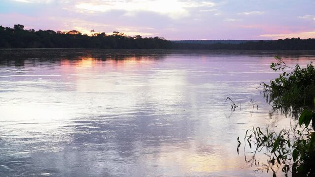 sunset jungle river Africa 4K