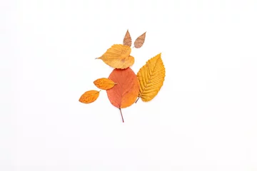 Fotobehang easy nature craft for kids, turtle made from leaves, ideas for autumn craft  © Elena