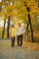 Obraz premium Elderly couple dance in the park in autumn.