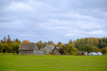 Obraz premium landscape with old wooden buildings in Latvia countryside in colorful autumn.