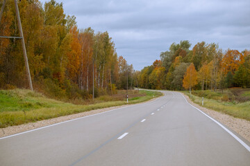 Fototapeta premium Autumn landscape with asphalt road and forest.