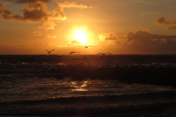 Sonnenuntergang auf Sylt mit Möven über Wasser und Wellen