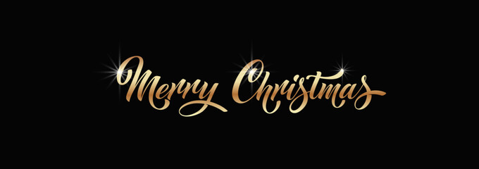 Merry Christmas and Happy New Year hand lettering calligraphy. Vector holiday illustration element.