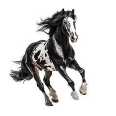 Black and white horse running clip art - obrazy, fototapety, plakaty