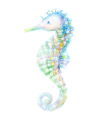カラフルなタツノオトシゴ　手描き © Hiromidori