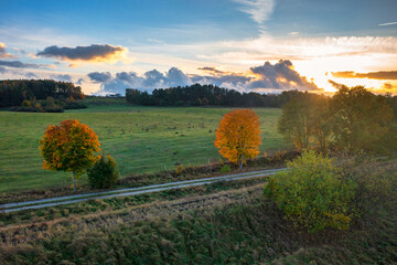 Beautiful landscape with autumn trees at sunset. Poland - obrazy, fototapety, plakaty
