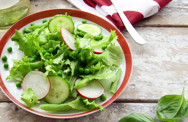 fresh lettuce and radish salad for healthy eating
