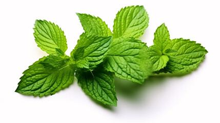 Minty, verdant leaves, especially peppermint, lie atop a white foundation, offering ample negative space.