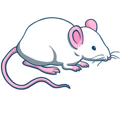 Cartoon illustration of a long-tailed white rat on a white background