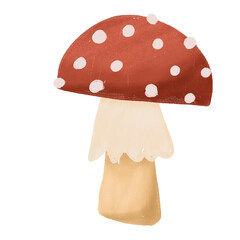 agaric mushroom isolated