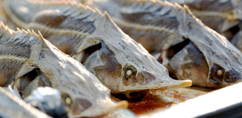 baked sterlet in the oven with spices