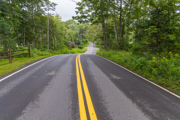 Fototapeta na wymiar Road through a forest in Maine, United States