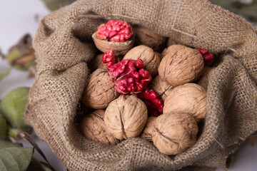 Red walnut harvest. Stil life and isolated images