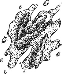 ingredient paprika hand drawn. powder chili, cayenne seasoning, pile spicy ingredient paprika vector sketch. isolated black illustration