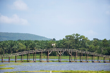 Resak Tembaga Wooden Bridge and Ecotourism attraction in Nong Yai Royal Development Initiative Projects and Kaem Ling Regulating Reservoir for thai people travelers travel visit at Chumphon, Thailand