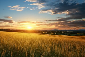 A beautiful sunset scene with the sun setting over a picturesque wheat field. 