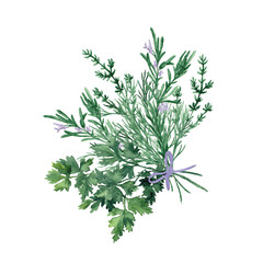 Sprigs of fresh herbs. A bouquet of flowers and greenery. Rosemary, parsley, dill, thyme. Watercolor clipart for kitchen utensils, logo, templates, cookbook, flyer, sticker, recipe