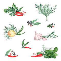 Food illustration for cookbook. Watercolor vegetables, herbs and spices for restaurant menu cards design, cafes, market shops, french recipes, flyer, packaging design, logo, label