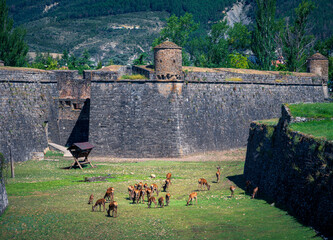 Jaca is a city in the province of Huesca, capital of the region of Jacetania in Aragon, Spain.
