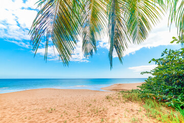 Golden sand in La Perle beach in Guadeloupe