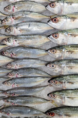 Fresh, raw sea fish are displayed on a bed of crushed ice at the fish market