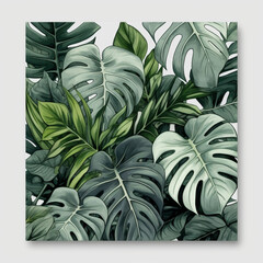 beautiful monstera leaves tropical background wallpaper
