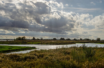 Reeds, clouds and marshes at the Beninger Slikken wetlands on the island of Voorne in the Netherlands