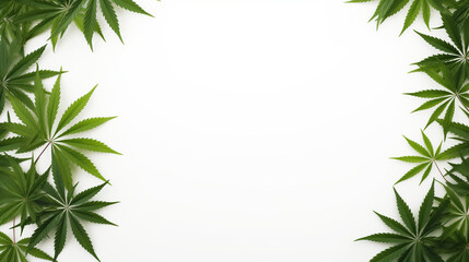 Marijuana leaves, green on a white background with copy space