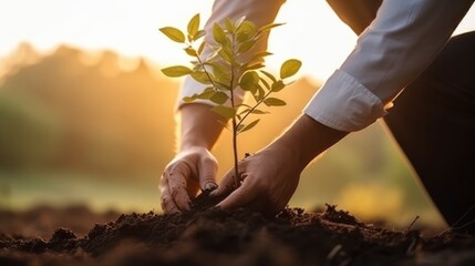 Business Leader Planting Tree Represents Corporate Social Responsibility and Commitment to Sustainability