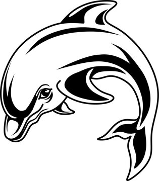 dolphin illustration black and white