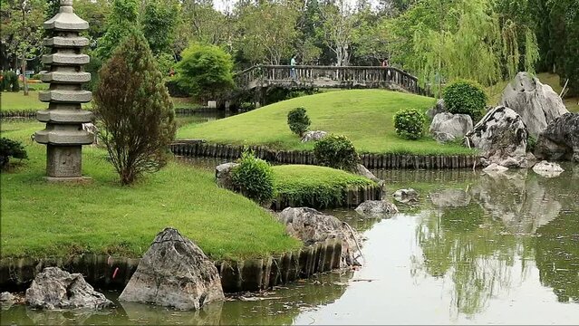Footage of a Javan Pond Heron Wandering in a Beautiful Japanese Garden