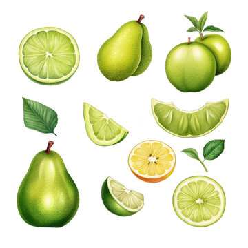 Watercolor set of green fruits isolated on transparent background