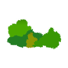 Fototapeta premium Green Bush Vektor