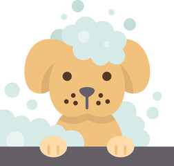 dog  icon
