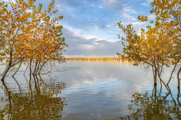 fall sunset scenery in Boyd Lake State Park in Loveland, Colorado - obrazy, fototapety, plakaty