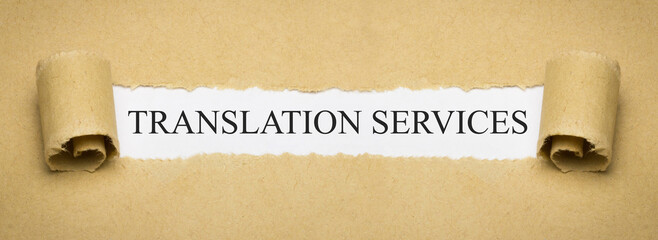 Translation Services 