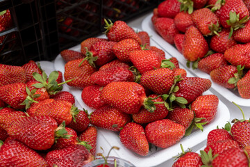 Selling ripe strawberries in a street bazaar. Fresh ripe strawberries grown on a farm on a small counter. Fresh red strawberries and vegetables at street market