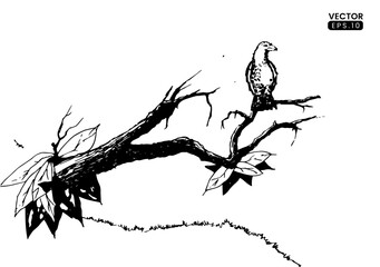 landscape handdrawn illustration eagle on tree. handdrawn ink sketch illustration. vector black and white outline