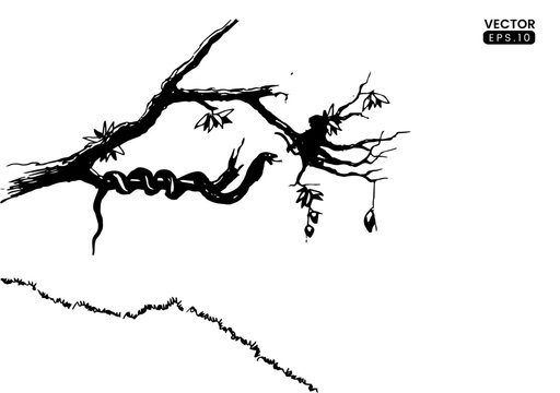 landscape handdrawn illustration snake on tree. handdrawn ink sketch illustration. vector black and white outline