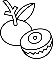 longan  icon