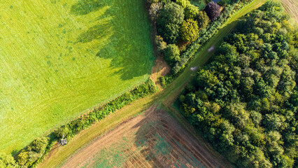 Plowed field next to an unplowed one.   Divided by a hedge at the edge of each field a small wooded area