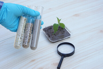 Closeup hand wears blue glove hold test tubes that contain sample soil. Concept, soil quality...