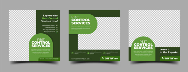 Set of modern green social media post template for pest control promotion - obrazy, fototapety, plakaty