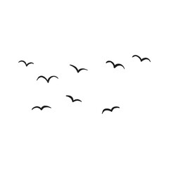 Flock Birds © Nareerat