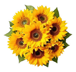 Sunflower Bouquet Arrangement Isolated on Transparent Background
