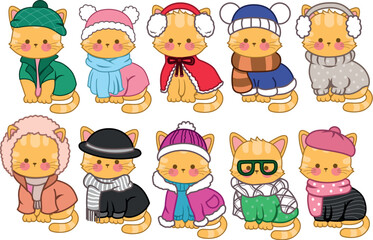 Winter Outfit's of cute cat